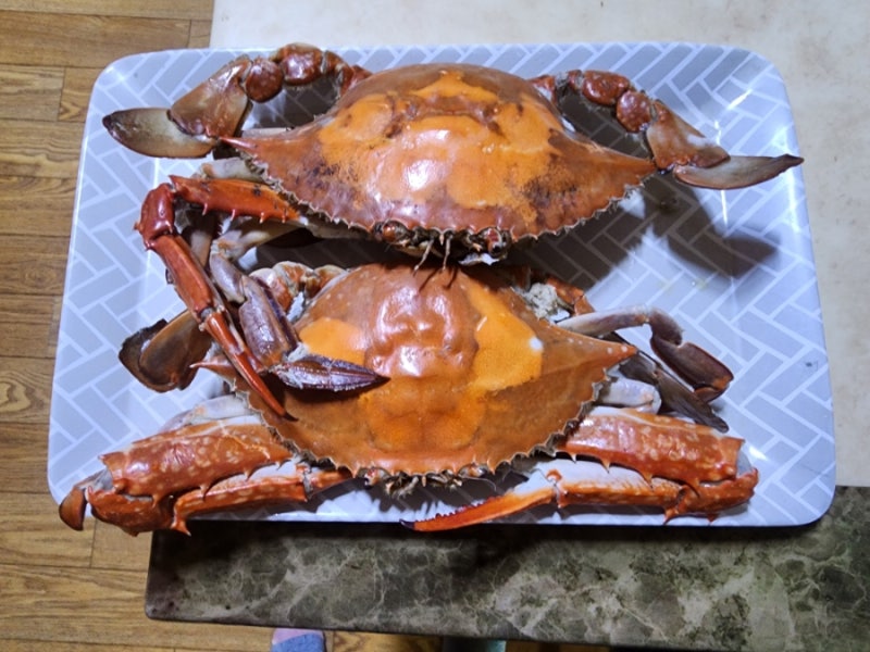 꽃게찜 꽃게삶기 꽃게삶는법 찌는법 손질 먹는법 냉동 꽃게 찌는시간 요리 레시피