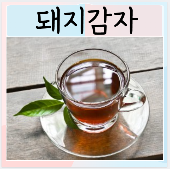  돼지감자 칼로리 효능 먹으면 좋은점 차 만드는법