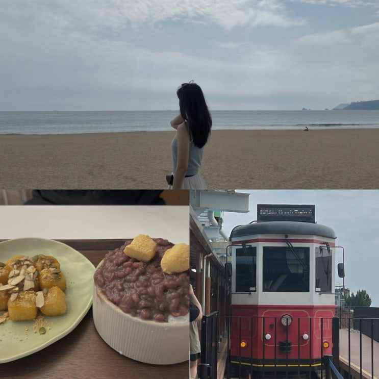  [부산 여행기] 금요일 오전 해운대 / 돼지팥빙수키노앙 / 블루라인파크 해변열차 마이리틀트립 예약 후기