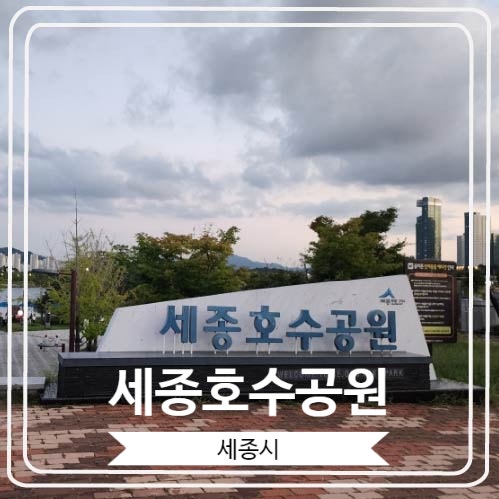  [세종호수공원] 세종시의 대표 공원에서 어울림 앱을 이용해서 자전거 타고 산책한 후기