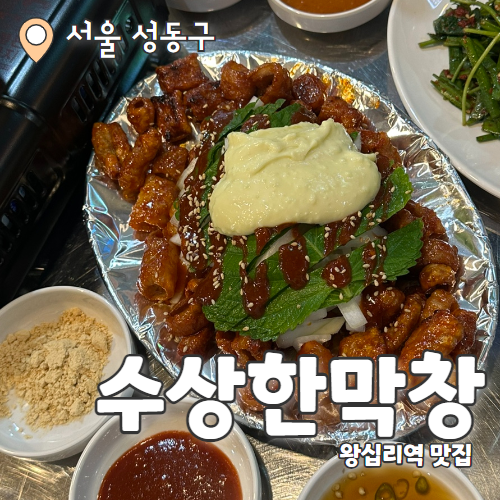  왕십리 수상한막창 도선사거리점 : 왕십리 잡내없는 막창맛집 내돈내산 후기