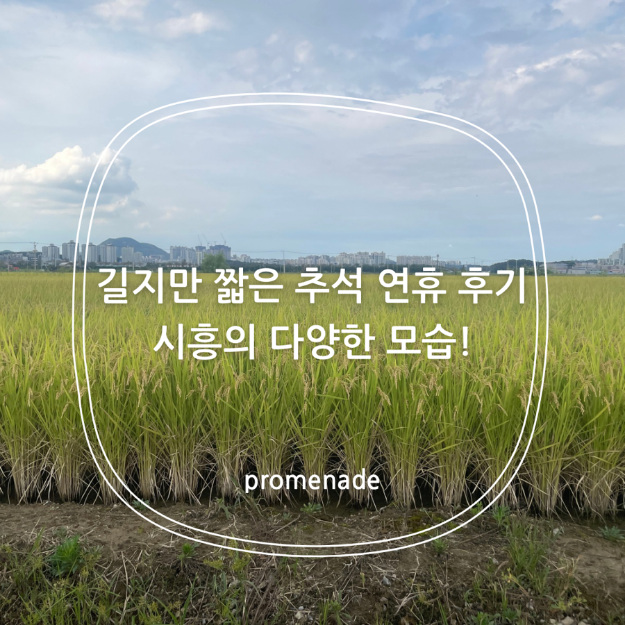 파란집 사진 1