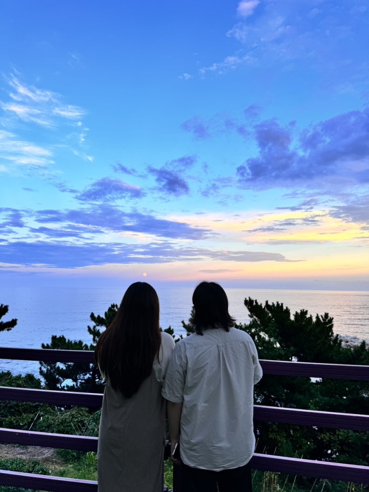  [2024 SEP] 가을이오면