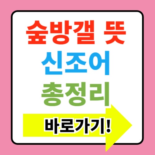  숲방갤 뜻 바로가기 인터넷 신조어 총정리
