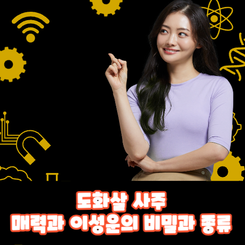  도화살 사주: 매력과 이성운의 비밀과 종류