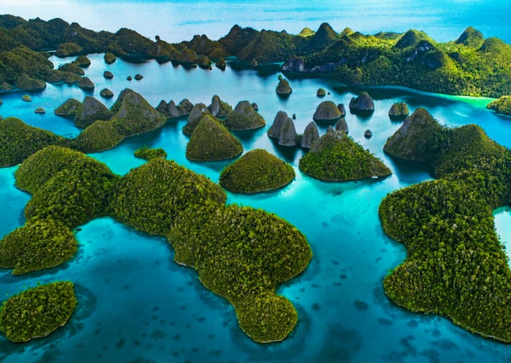  가고싶 ll 스쿠버다이빙의 성지 라자암팟 l Raja Ampat I Indonesia
