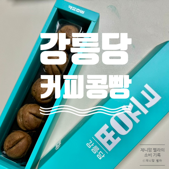  강릉역근처카페 커피콩빵 강릉당 강릉기념품