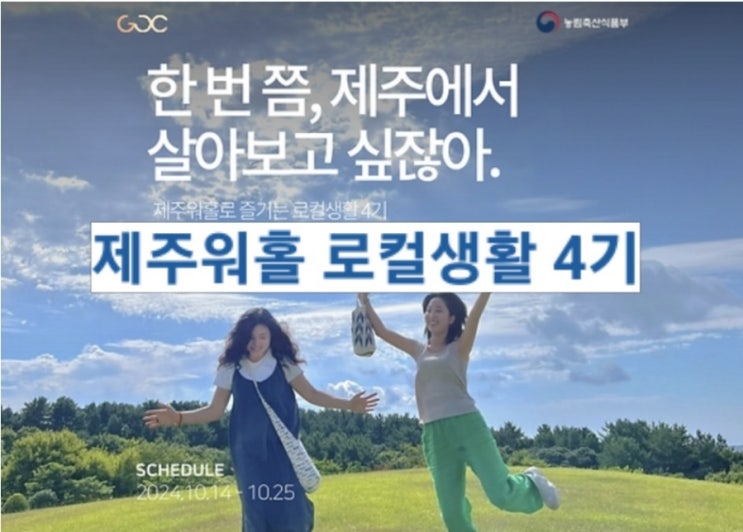  제주도_제주워홀로 즐기는 로컬생활_4기 30명 선착순