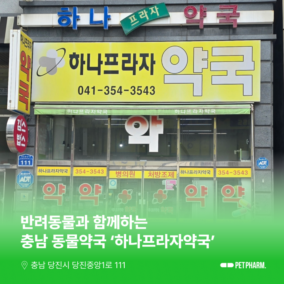 하나프라자약국 사진 1