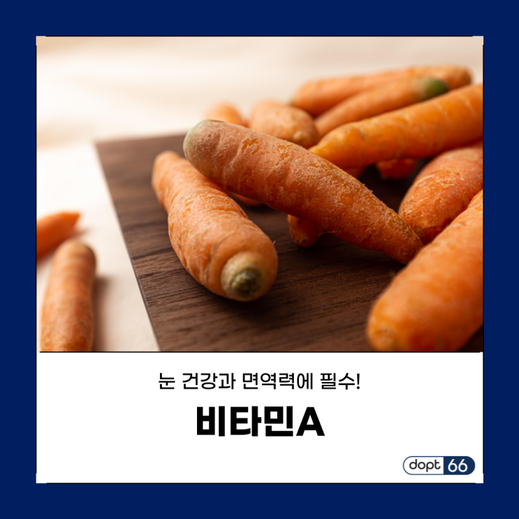  비타민A 눈 건강과 면역력에 필수적인 영양소!