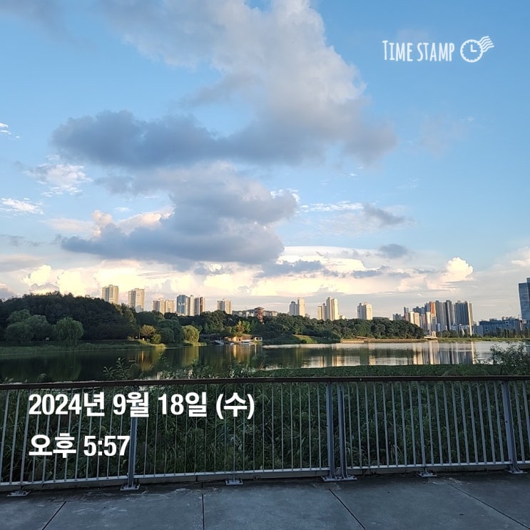  [운동기록]24년 9월 18일 전신근력운동(스쿼트, 푸쉬업, 턱걸이(풀업), 바벨로우, 팔, 종아리 등)