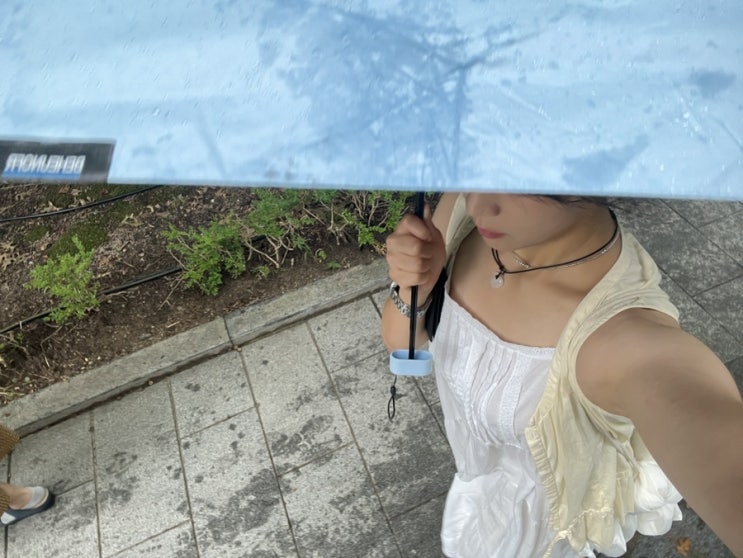  잘 먹고 일하고 서순라길 가서 일하고 경주가서 일하고 추석에도 일하는 도비의 일상_일기