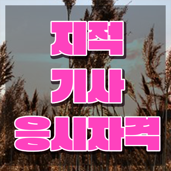  지적기사 자격 요건 지적기사 시험응시조건 독학으로 단기간에 완료한 과정