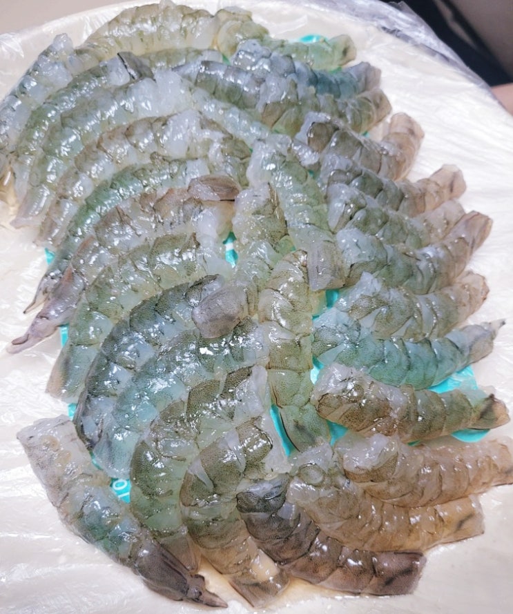 가을 제철 생새우와 쫀득한 광어회를 맛보자 '구리수산시장 독도수산'