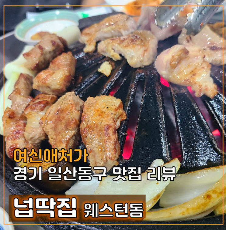  일산 넙딱집, 노포느낌의 웨돔 고기맛집