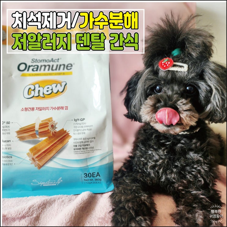  가수분해츄 저알러지 강아지덴탈껌 치석제거에 좋은 오라뮨 츄