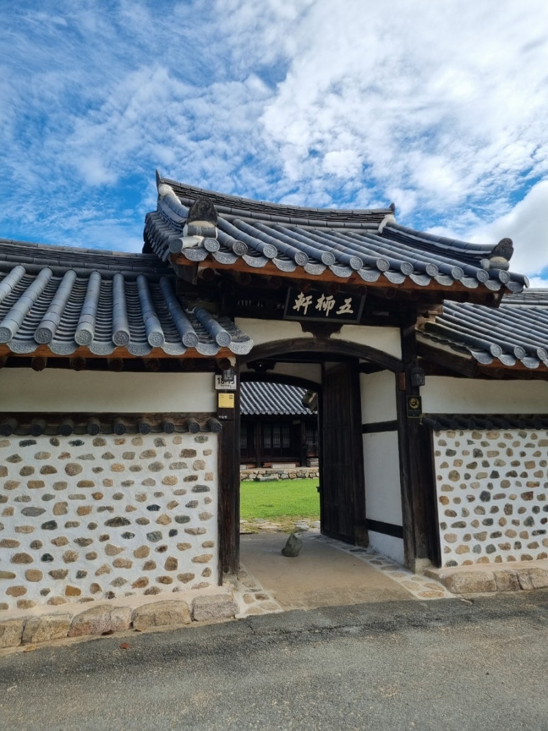 사진 5