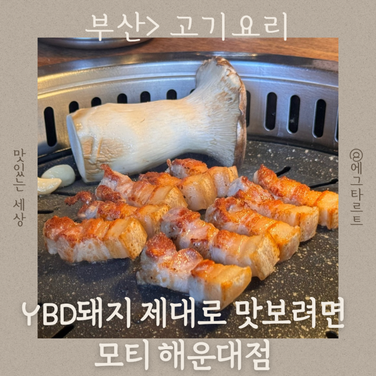  부산 해운대 구워주는 고기집 고기러버가 추천하는 YBD돼지 모티 해운대점