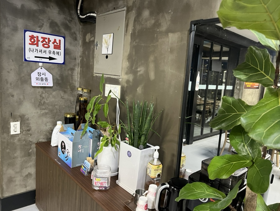 빵터진장어 사진 6