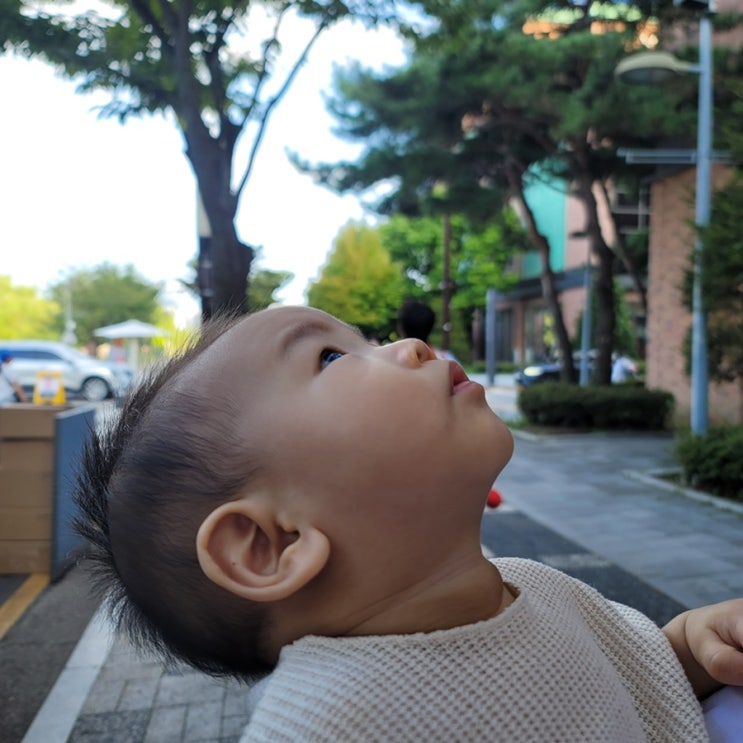  7개월 아기랑 보내는 추석 연휴란