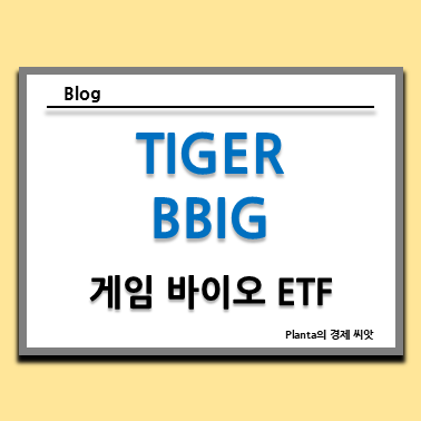  TIGER BBIG ETF 주가 : 게임 바이오 주식