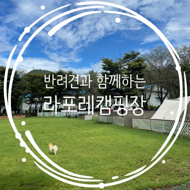  사이트 울타리 애견동반 캠핑장 라포레캠핑장 + c2사이트 후기