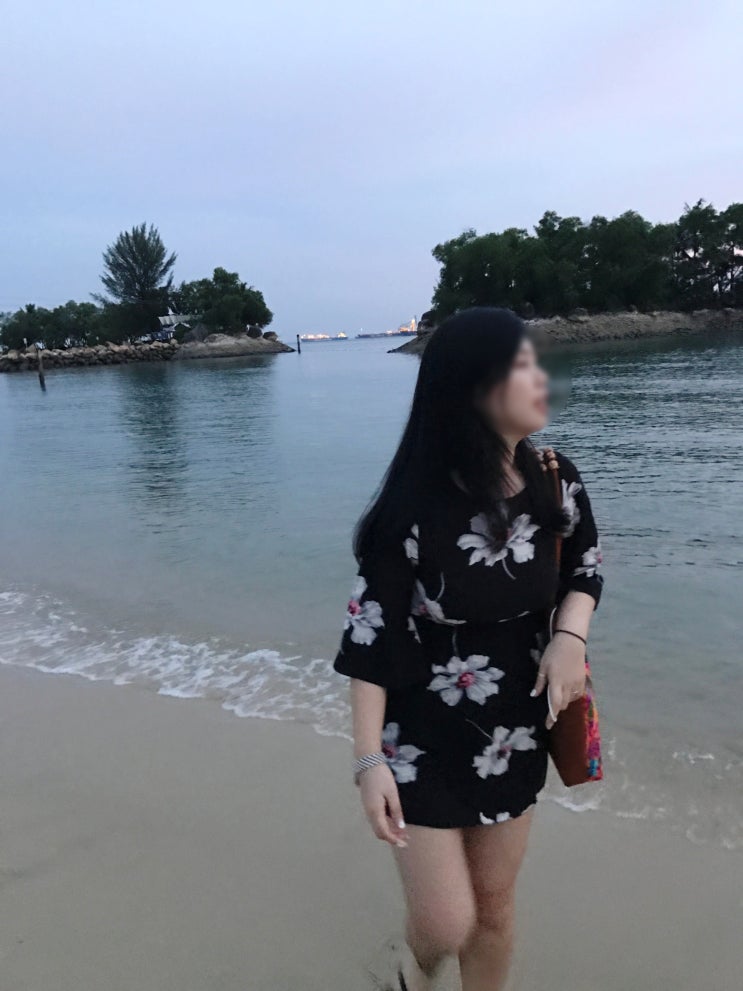  수수의 싱가폴 : 우당탕탕 여행기 (대만에서 싱가포르여행가기)