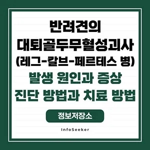  반려견의 대퇴골두무혈성괴사(레그-칼브-페르테스 병) 발생 원인과 증상, 위험성과 치료 방법