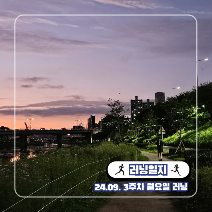 LSD 훈련 러닝 마라톤 트레이닝 천천히 오래달리기 페이스