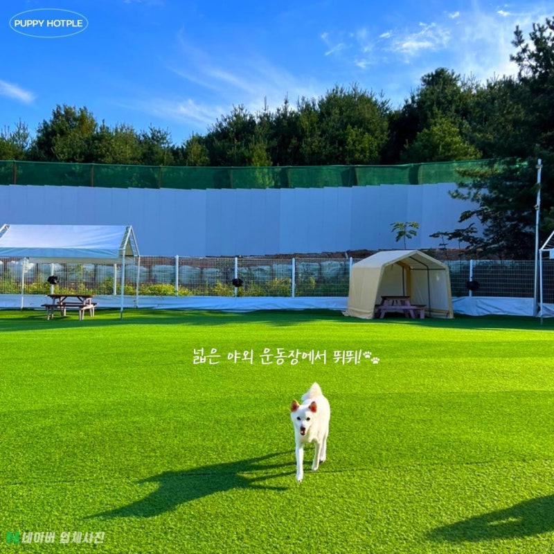 사진 2