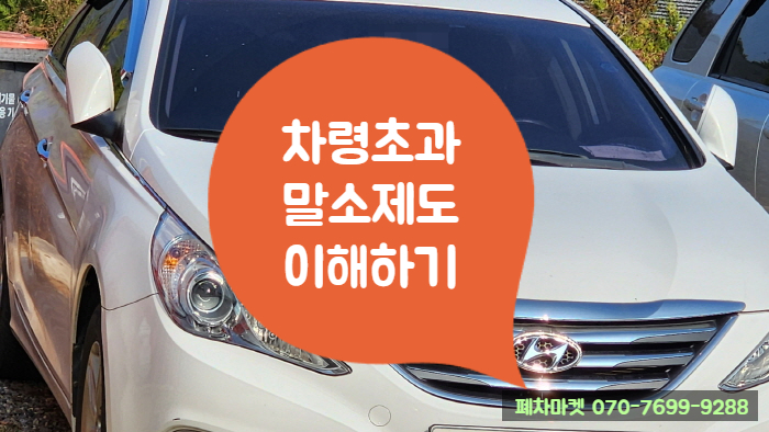  차령초과말소제도 이해하기