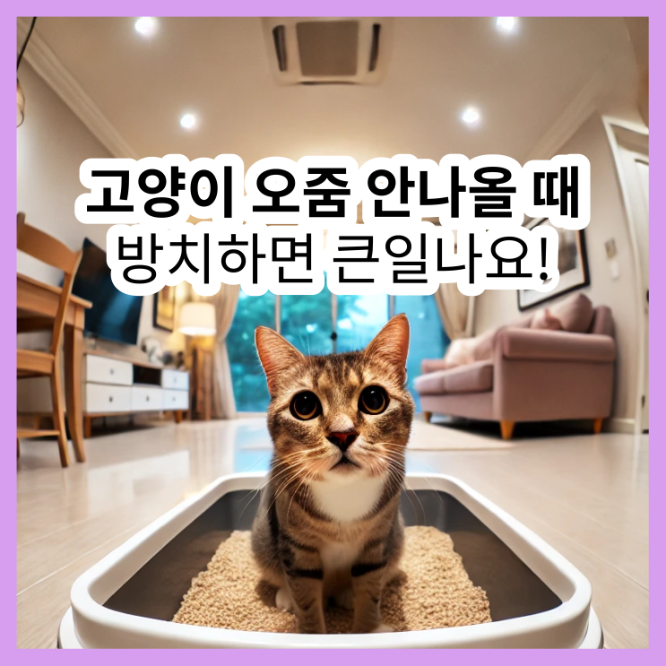  고양이 요도폐색, 단순한 소변 문제가 아닙니다