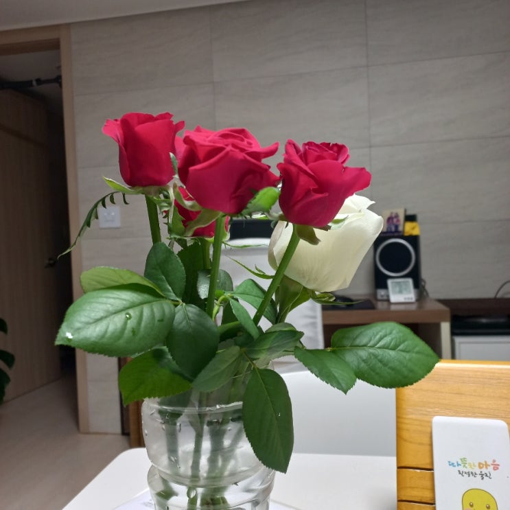  인간은 왜 사는가? 단순한 진리를 찾았다
