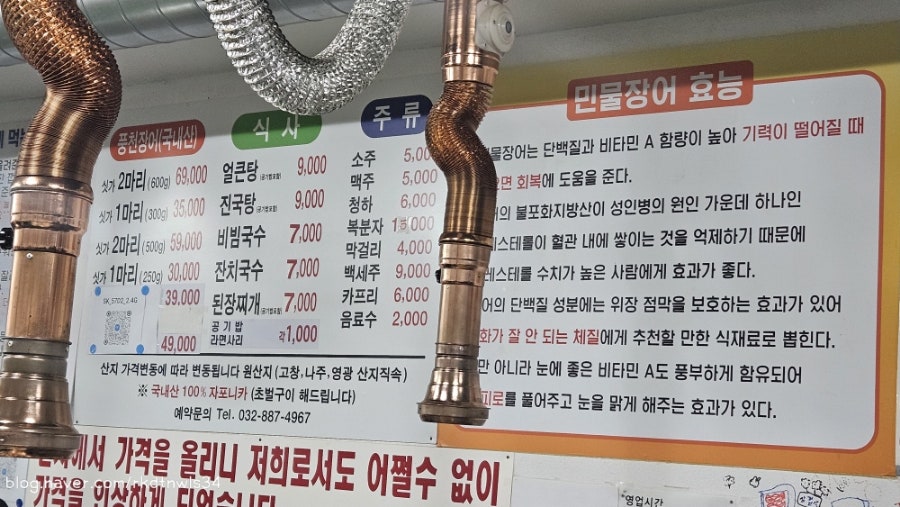장어나다 사진 4