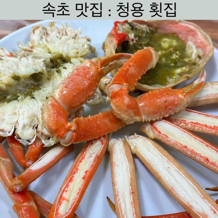 속초 맛집 [청용 횟집] - 외옹치항 횟집, 속초 해수욕장 횟집, 속초 대게맛집, 강원도 횟집