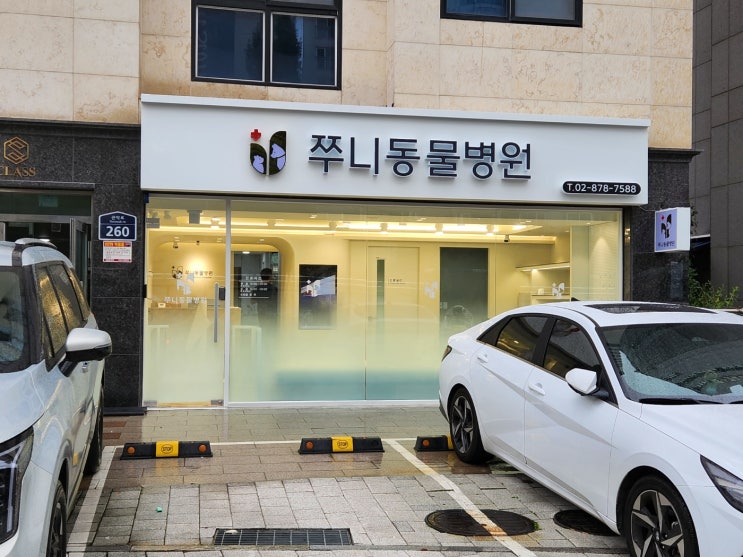  [동물병원간판] 쭈니동물병원|윤디자인