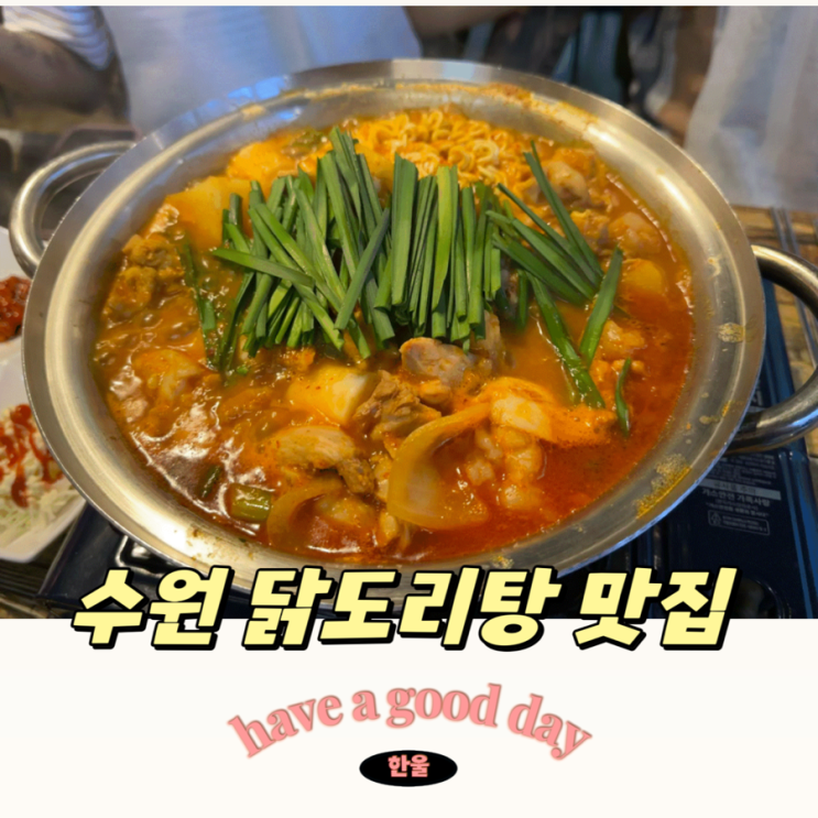  수원 닭도리탕 맛집 대식가 (feat.애견동반 식당)
