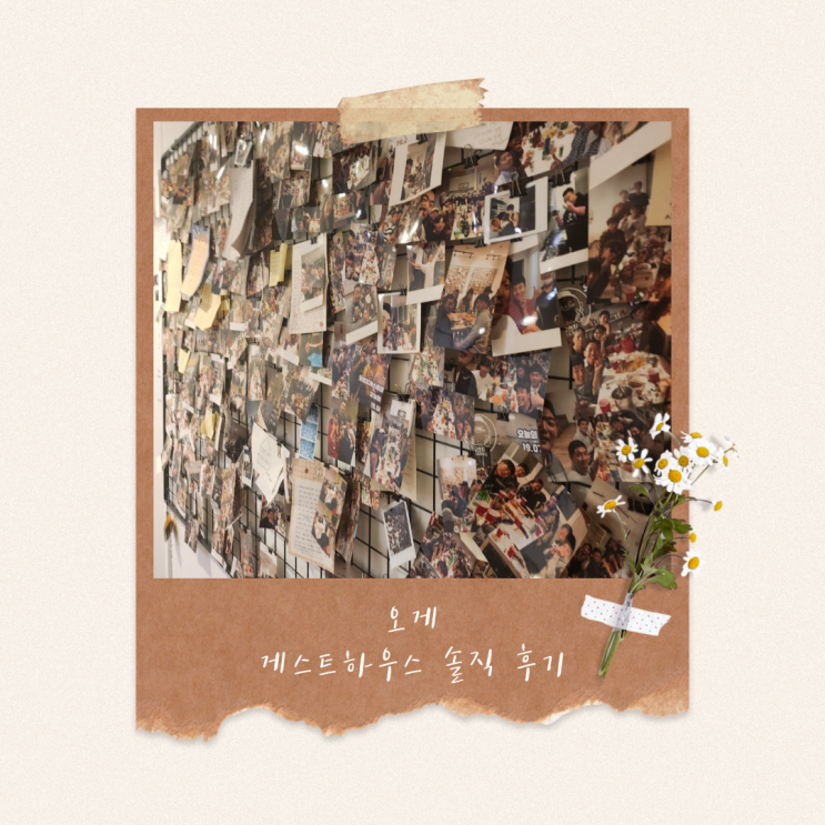  부산게스트하우스 오게 1박2일 하우스파티 솔직 후기