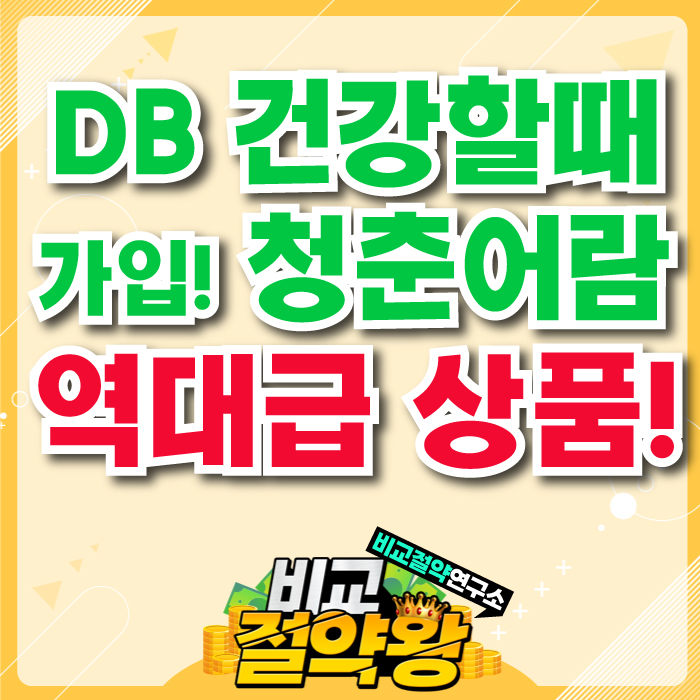  DB 건강할때 가입하는 청춘어람 종합보험 장단점