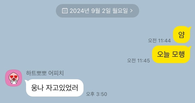  [경기/일산] 술로세움