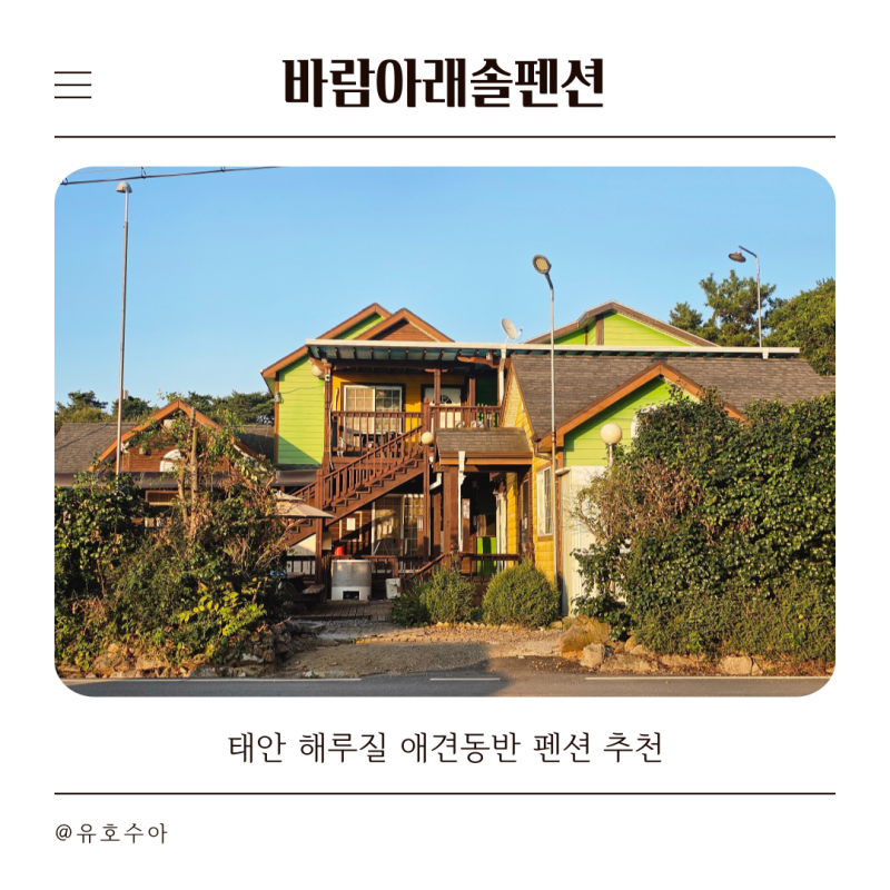 사진 3