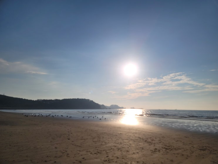  춘장대해수욕장 어리굴젓보쌈세트