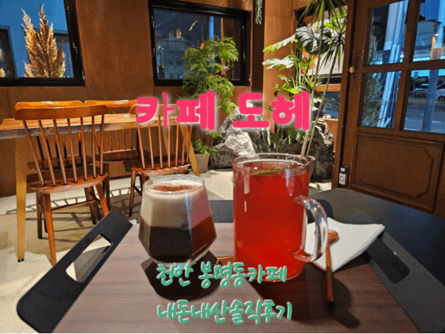  도헤카페 천안봉명동카페 내돈내산솔직후기