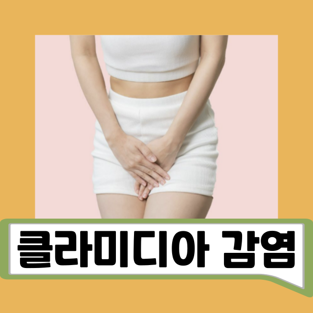 클라미디아 감염 원인 및 성병 여부 남자 여자 증상 차이 치료 기간