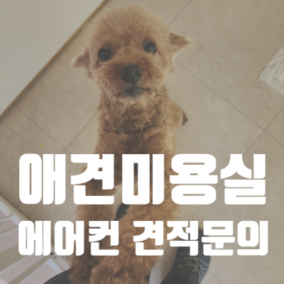  오산세마역 애견미용실 에어컨설치 견적문의