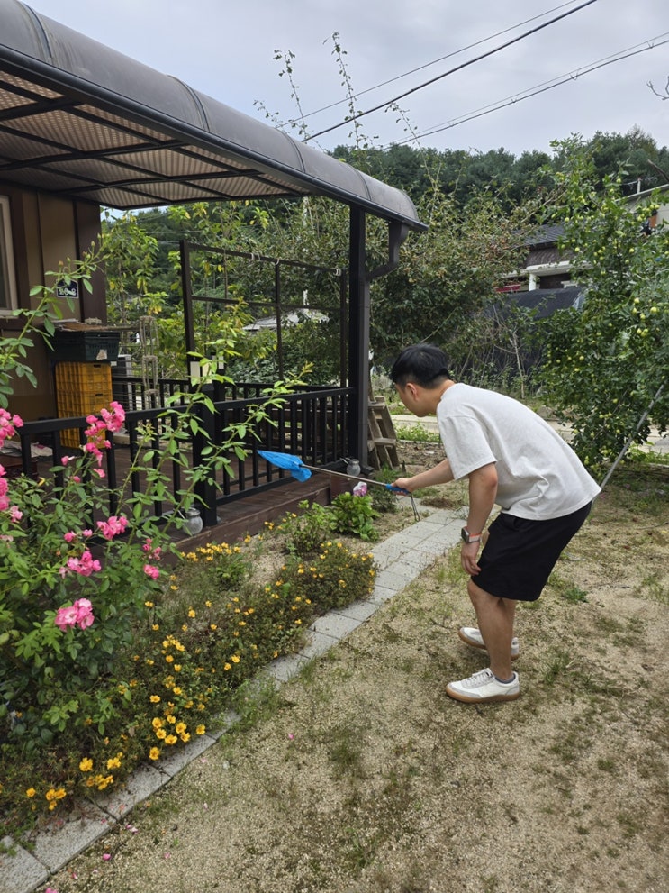  4대가 함께 한 추석(ft. 곤충 채집, 바베큐 파티)