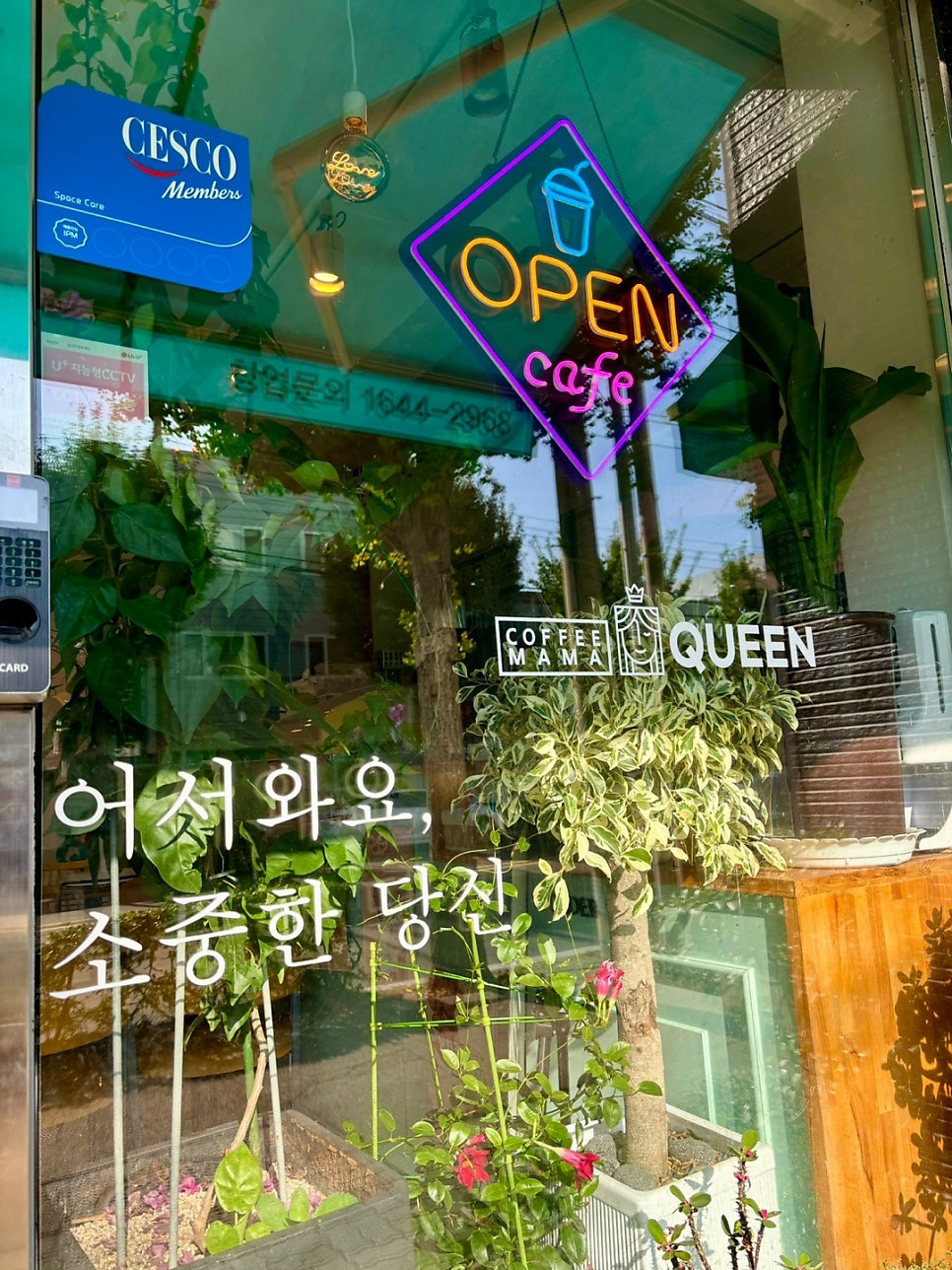 커피마마퀸 목포용해점 사진 2
