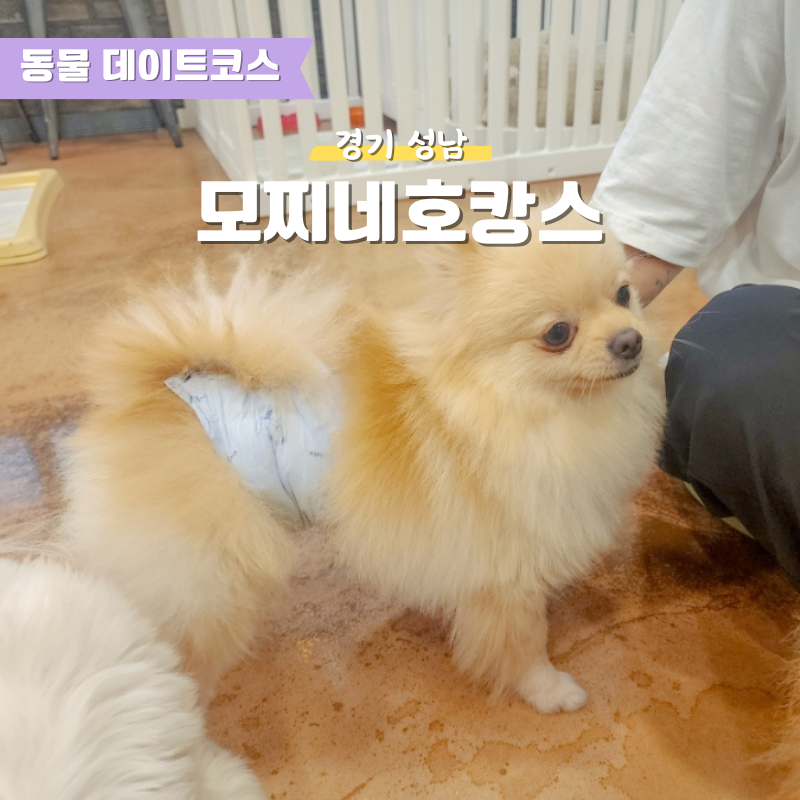 사진 4