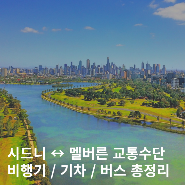  시드니에서 멜버른 비행기 기차 버스 항공권 가격 이동 비교