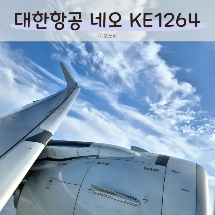  대한항공 네오 KE1264 아기와 탑승하기 좋은 새 비행기 (+아시아나 8949)